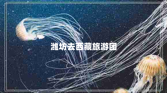 濰坊去西藏旅游團(tuán)