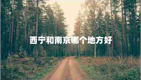 西寧和南京哪個地方好