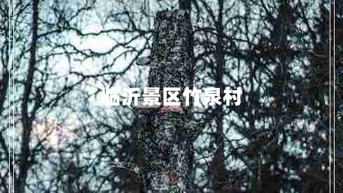 臨沂景區(qū)竹泉村 臨沂景區(qū)竹泉村