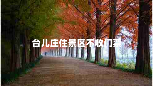 臺(tái)兒莊住景區(qū)不收門票