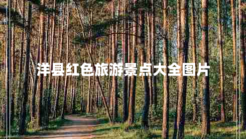 洋縣紅色旅游景點(diǎn)大全圖片 洋縣紅色旅游景點(diǎn)大全圖片