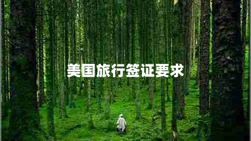 美國旅行簽證要求 美國旅行簽證要求