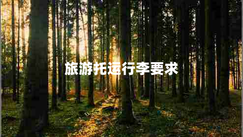 旅游托運(yùn)行李要求 旅游托運(yùn)行李要求