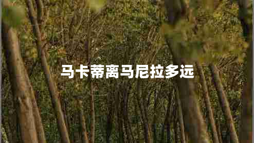 馬卡蒂離馬尼拉多遠(yuǎn)
