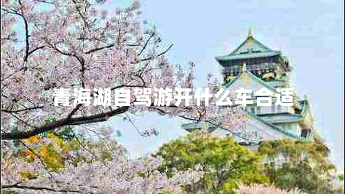 青海湖自駕游開什么車合適