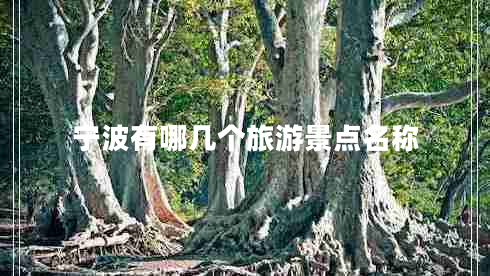 寧波有哪幾個旅游景點名稱