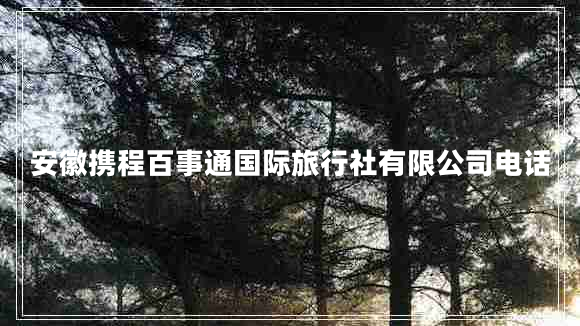 安徽攜程百事通國際旅行社有限公司電話