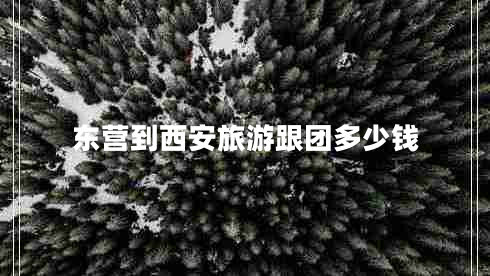 東營到西安旅游跟團(tuán)多少錢