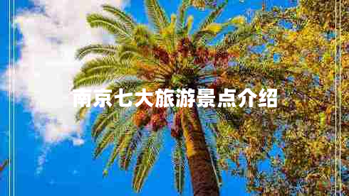 南京七大旅游景點(diǎn)介紹 南京七大旅游景點(diǎn)介紹