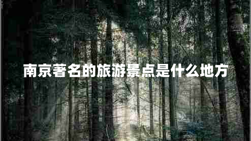 南京著名的旅游景點是什么地方 南京著名的旅游景點是什么地方