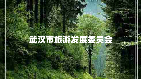 武漢市旅游發(fā)展委員會(huì)