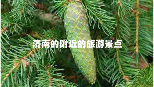 濟南的附近的旅游景點