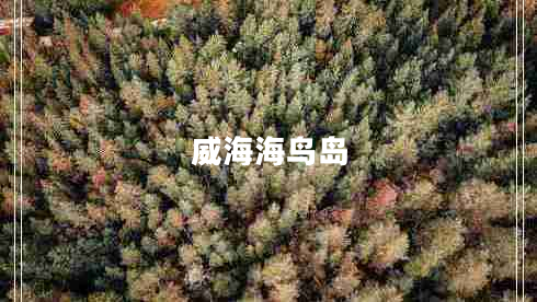 威海海鳥島 威海海鳥島