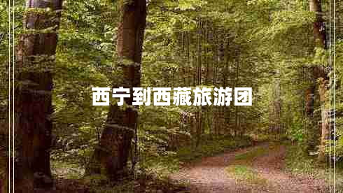 西寧到西藏旅游團(tuán) 西寧到西藏旅游團(tuán)