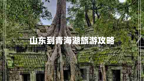 山東到青海湖旅游攻略