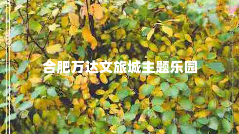 合肥萬(wàn)達(dá)文旅城主題樂(lè)園