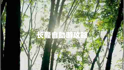 長隆自助游攻略 長隆自助游攻略