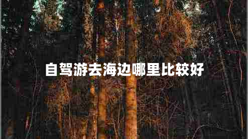 自駕游去海邊哪里比較好