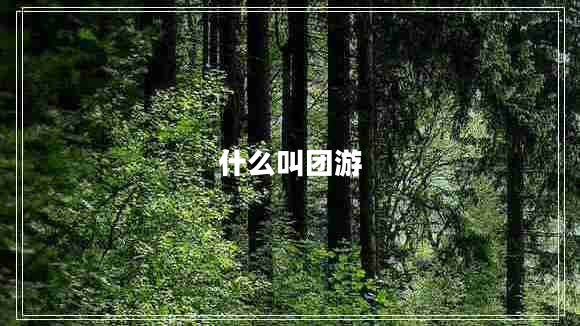 什么叫團(tuán)游