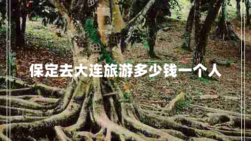 保定去大連旅游多少錢一個人