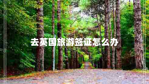 去英國旅游簽證怎么辦