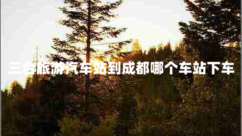 三臺旅游汽車站到成都哪個車站下車