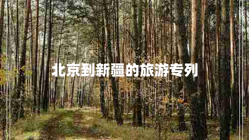 北京到新疆的旅游專列 北京到新疆的旅游專列