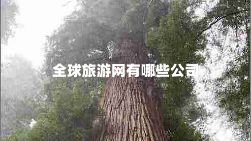 全球旅游網(wǎng)有哪些公司 全球旅游網(wǎng)有哪些公司