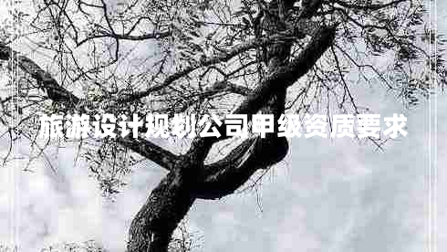 旅游設(shè)計(jì)規(guī)劃公司甲級(jí)資質(zhì)要求