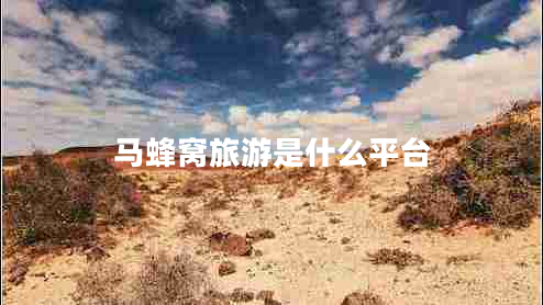 馬蜂窩旅游是什么平臺