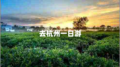 去杭州一日游