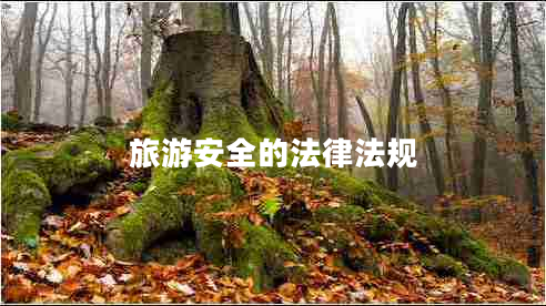 旅游安全的法律法規(guī) 旅游安全的法律法規(guī)