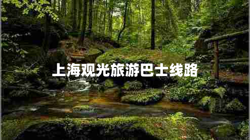 上海觀光旅游巴士線路