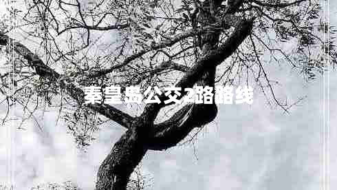 秦皇島公交2路路線