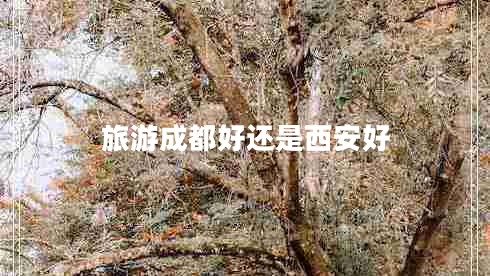 旅游成都好還是西安好 旅游成都好還是西安好
