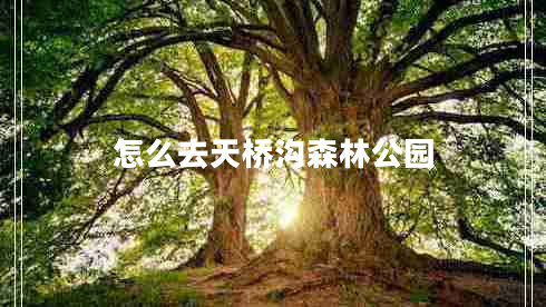 怎么去天橋溝森林公園