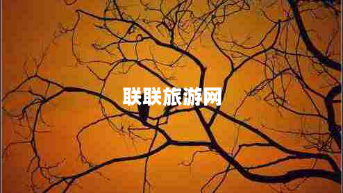 聯(lián)聯(lián)旅游網(wǎng)
