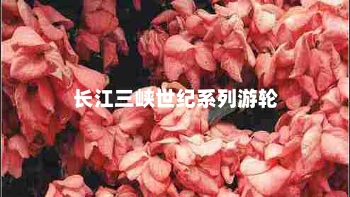 長江三峽世紀(jì)系列游輪 長江三峽世紀(jì)系列游輪