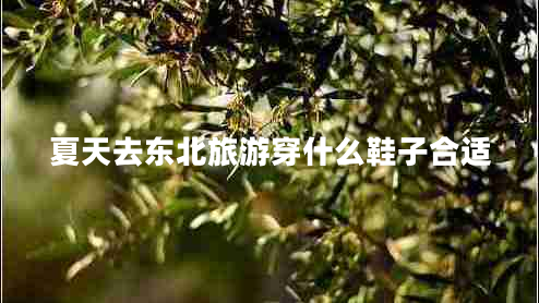 夏天去東北旅游穿什么鞋子合適 夏天去東北旅游穿什么鞋子合適