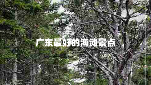 廣東最好的海灘景點 廣東最好的海灘景點