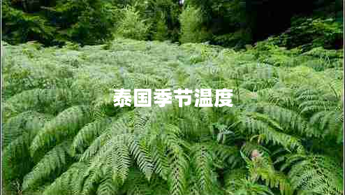 泰國(guó)季節(jié)溫度