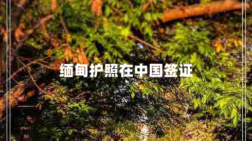 緬甸護(hù)照在中國簽證