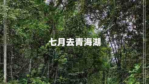 七月去青海湖 七月去青海湖