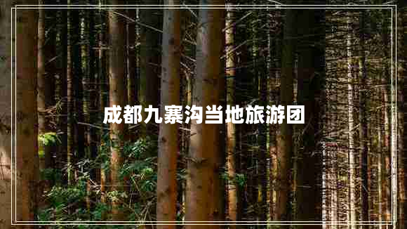 成都九寨溝當(dāng)?shù)芈糜螆F