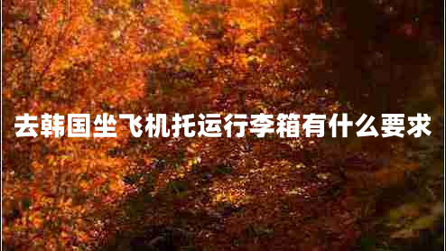 去韓國(guó)坐飛機(jī)托運(yùn)行李箱有什么要求