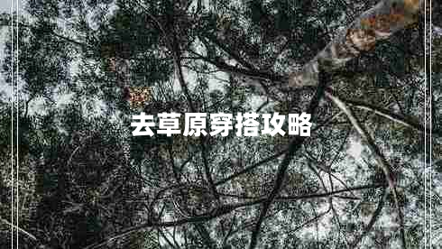 去草原穿搭攻略