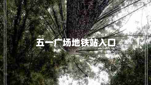 五一廣場(chǎng)地鐵站入口 五一廣場(chǎng)地鐵站入口