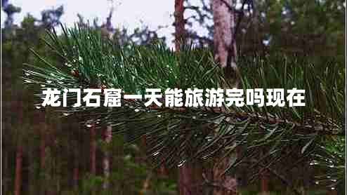 龍門石窟一天能旅游完嗎現在 龍門石窟一天能旅游完嗎現在