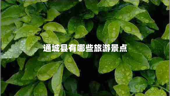 通城縣有哪些旅游景點(diǎn)