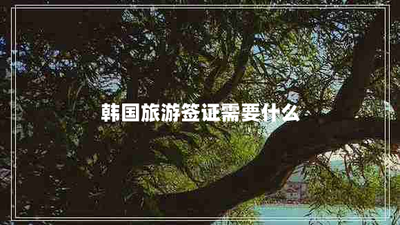 韓國(guó)旅游簽證需要什么